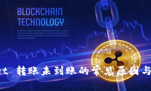 TP Wallet 转账未到账的常见原因与解决方案