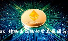 TP Wallet 转账未到账的常见