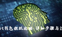 tpWallet钱包提现攻略：详细