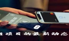 探索Aeternity区块链项目的