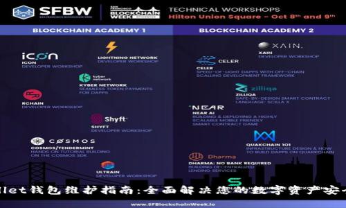 tpWallet钱包维护指南：全面解决您的数字资产安全问题