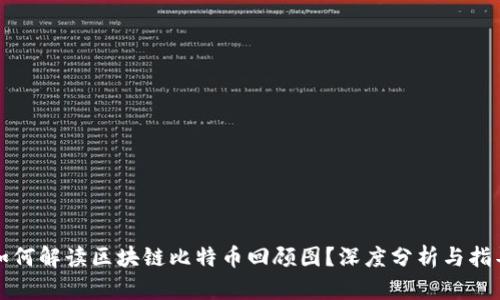 如何解读区块链比特币回顾图？深度分析与指导