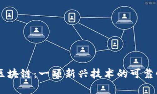 币达区块链：一项新兴技术的可靠性分析