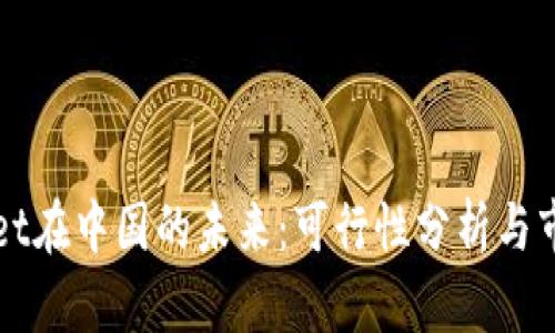 tpWallet在中国的未来：可行性分析与市场潜力