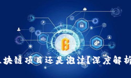 Pi币：顶级区块链项目还是泡沫？深度解析与未来展望