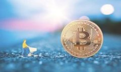 tpWallet公安是否可以冻结？