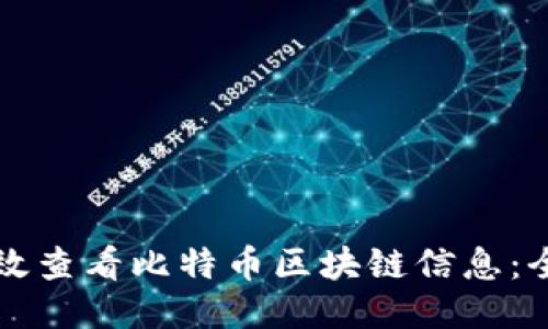 如何高效查看比特币区块链信息：全面指南