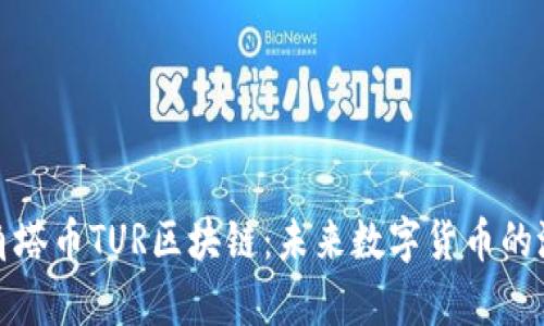 全面解析角塔币TUR区块链：未来数字货币的潜力与挑战