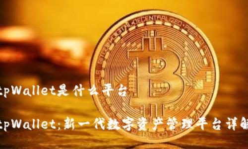tpWallet是什么平台

tpWallet：新一代数字资产管理平台详解
