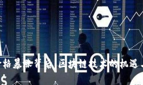 VDS币的价格暴涨背后：区块链技术的机遇与挑战分析