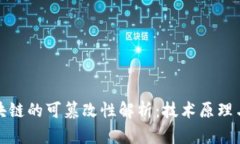: 比特币区块链的可篡改性
