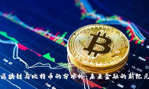 区块链与比特币的分水岭：未来金融的新纪元