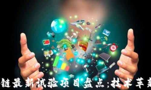 
2023年区块链最新试验项目盘点：技术革新与应用探讨
