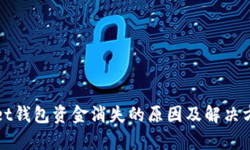 tpWallet钱包资金消失的原因及解决方案详解