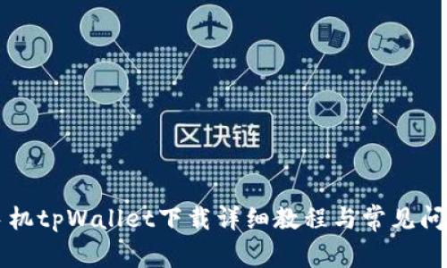 苹果手机tpWallet下载详细教程与常见问题解答