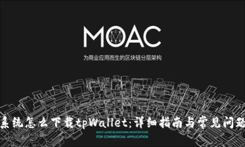 安卓系统怎么下载tpWallet：详细指南与常见问题解答