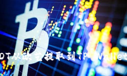 如何将USDT从欧艺提取到TP Wallet：详细指南