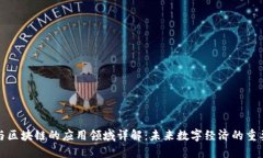 派币与区块链的应用领域
