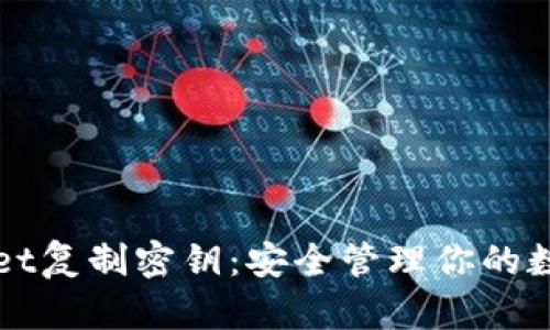 tpWallet复制密钥：安全管理你的数字资产