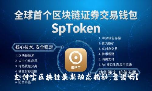 支付宝区块链最新动态揭秘：靠谱吗？