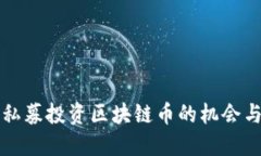 国外私募投资区块链币的