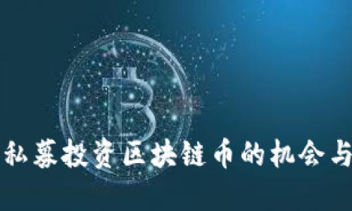 国外私募投资区块链币的机会与挑战