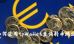如何使用tpWallet查询持币地