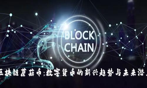 区块链蘑菇币：数字货币的新兴趋势与未来潜力