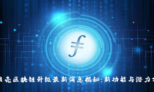 小贝壳区块链升级最新消息揭秘：新功能与潜力分析