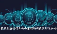 揭秘区块链行业的小米招