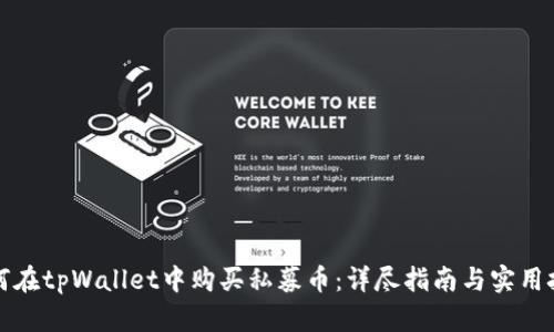 如何在tpWallet中购买私募币：详尽指南与实用技巧