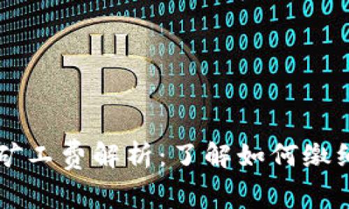 tpWallet矿工费解析：了解如何缴纳和矿工费