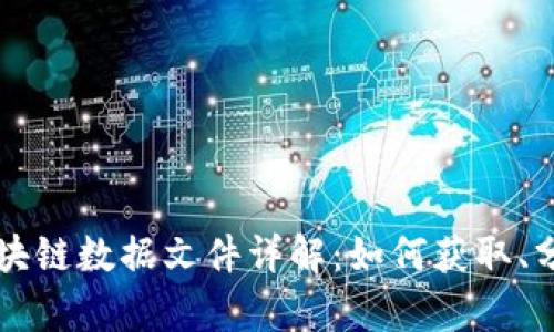 比特币区块链数据文件详解：如何获取、分析与应用