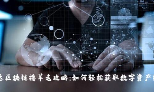 币达区块链撸羊毛攻略：如何轻松获取数字资产红利