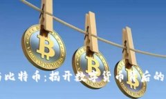 区块链与比特币：揭开数
