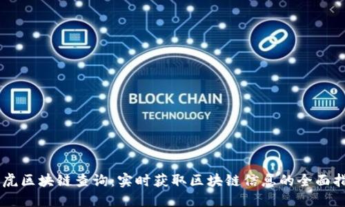 币虎区块链查询：实时获取区块链信息的全面指南
