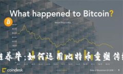 区块链养牛：如何运用比