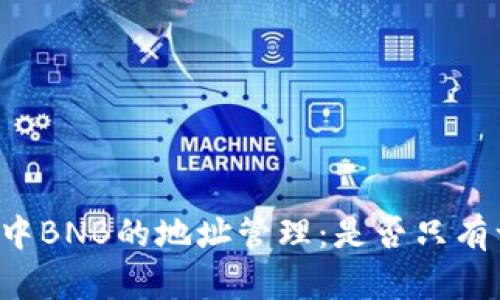 tpWallet中BNB的地址管理：是否只有一个地址？