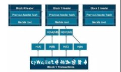 如何判断tpWallet中的加密货