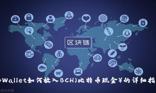 tpWallet如何放入BCH（比特币现金）的详细指南