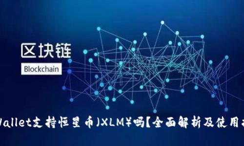 tpWallet支持恒星币（XLM）吗？全面解析及使用指南