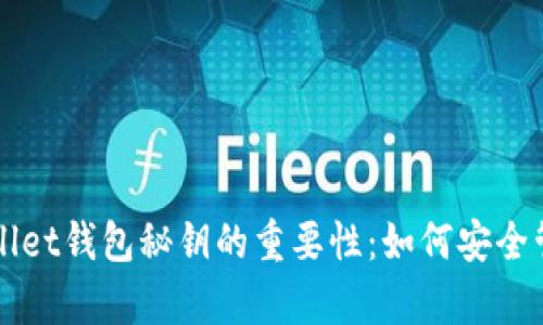 了解tpWallet钱包秘钥的重要性：如何安全管理与存储