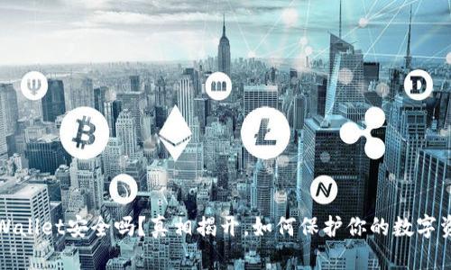 tpWallet安全吗？真相揭开，如何保护你的数字资产