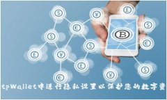 如何在tpWallet中进行隐私设