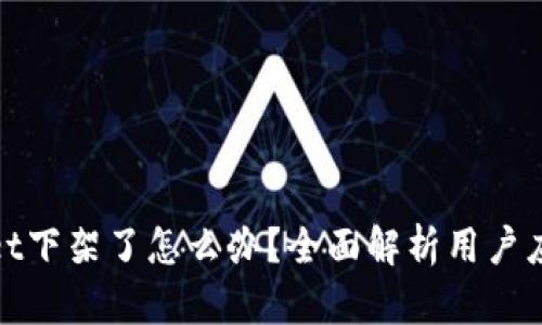 tpWallet下架了怎么办？全面解析用户应对策略