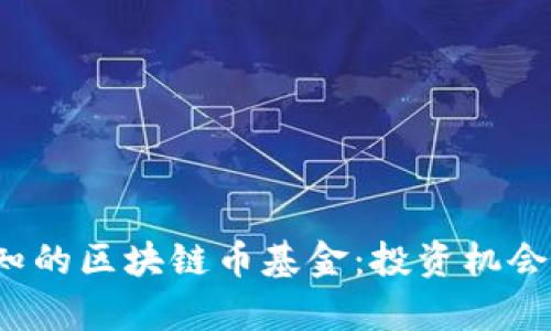 2023年必知的区块链币基金：投资机会与风险分析