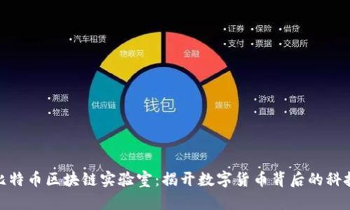 探索比特币区块链实验室：揭开数字货币背后的科技奥秘