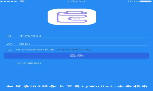 如何在iOS设备上下载tpWallet：全面指南