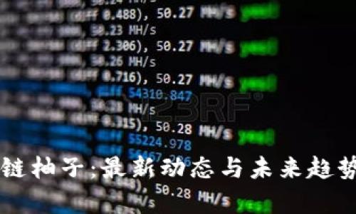 区块链柚子：最新动态与未来趋势解析