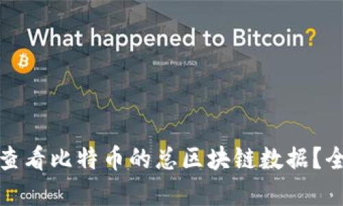 在哪里查看比特币的总区块链数据？全面指南
